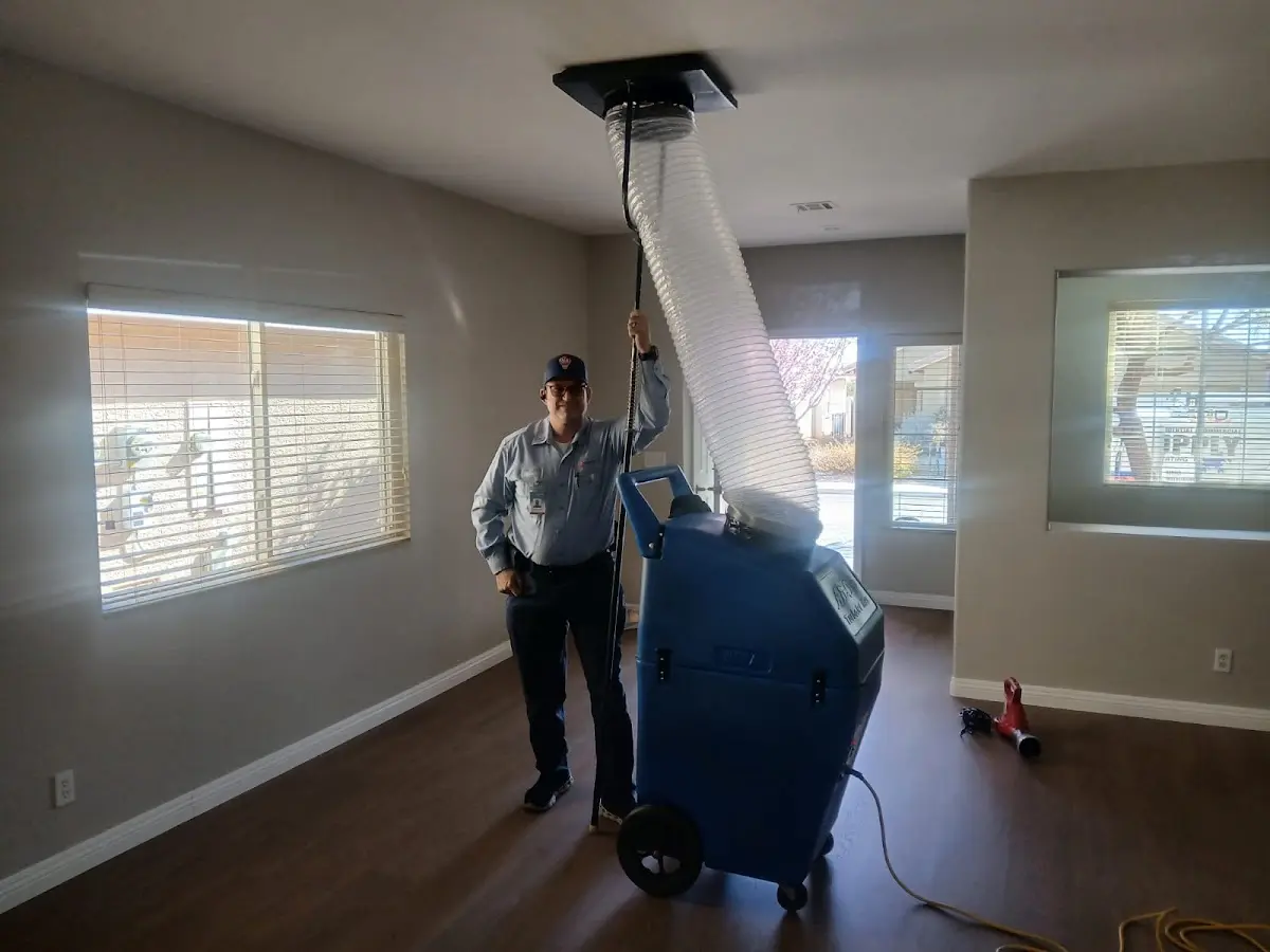 Professional Dryer Vent Cleaning work inside a Minneapolis home